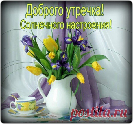 ДОБРОГО УТРЕЧКА !!!