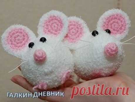 ГАЛКИН ДНЕВНИК: Мышки малышки