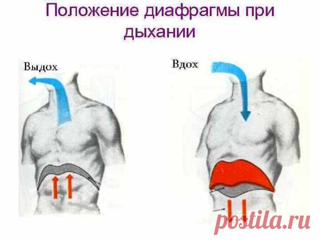 Упражнения, омолаживающие весь организм / Будьте здоровы