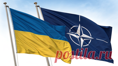 NSJ: конфликт на Украине стал результатом провокаций со стороны НАТО. Украинский конфликт стал результатом провокаций со стороны Североатлантического альянса. Читать далее