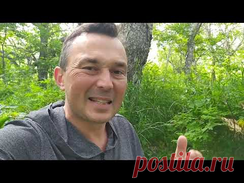 Через какое время сгорают долги. Исковая давность 