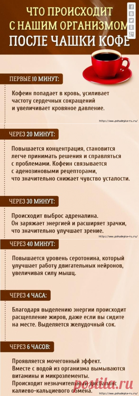 Что происходит с нашим организмом после 1 чашки кофе!