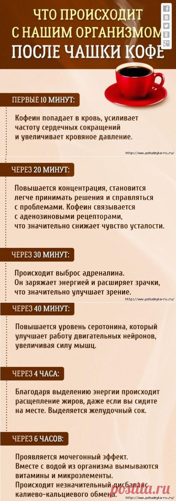 Что происходит с нашим организмом после 1 чашки кофе!