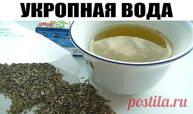 2 стакана этого питья в день помогут похудеть и снизить сахар в крови! Только семена и кипяток. Все знают, что младенцам назначают укропную воду для профилактики проблем с желудком и кишечником. Но, оказывается, укропная вода для взрослых не менее полезна! Это чудодейственное питье поможет похудеть и снизить сахар в крови. Укропную воду