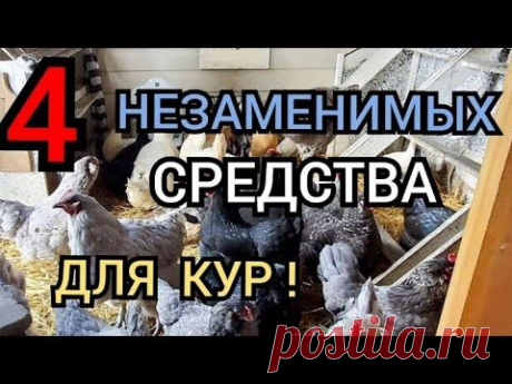 ✔Куриные секреты❗/Для Яйценоскости и Иммунитета/Необходимые Препараты для Кур Несушек!/Секреты.