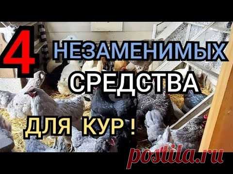 ✔Куриные секреты❗/Для Яйценоскости и Иммунитета/Необходимые Препараты для Кур Несушек!/Секреты.