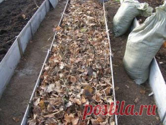 10 идей, что делать с опавшими осенью листьями