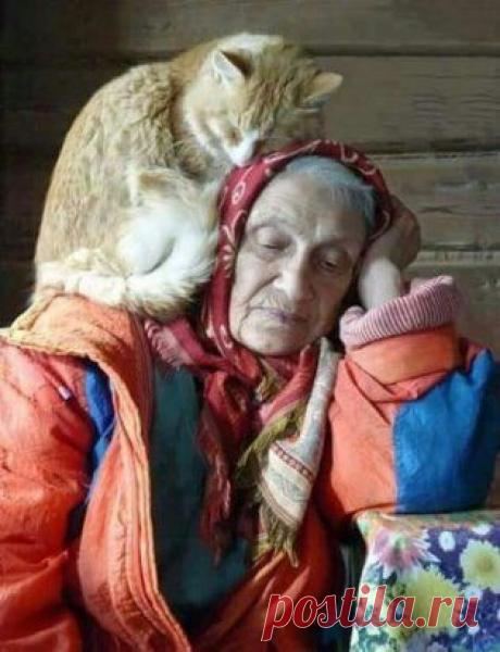 Одноклассники