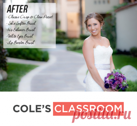 Lightroom Adjustment Brush Presets - The Polished Collection