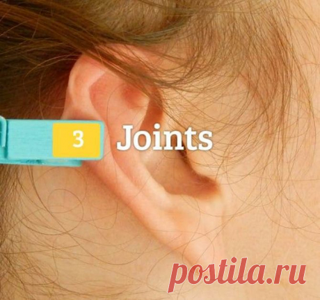 ОНА ПРИЦЕПИЛА ПРИЩЕПКУ К УХУ. УЗНАВ ПРИЧИНУ, ВЫ БУДЕТЕ ОШЕЛОМЛЕНЫ!