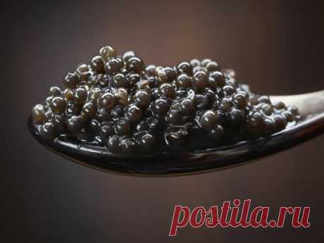 На Дальнем Востоке всё как всегда, только хабаровчанин отправил почтой икру на 500 тысяч - 8 Августа 2016 - Russia-Asia-Siberia