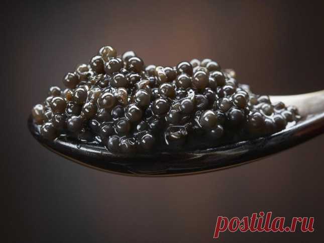 На Дальнем Востоке всё как всегда, только хабаровчанин отправил почтой икру на 500 тысяч - 8 Августа 2016 - Russia-Asia-Siberia