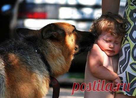 (74) Одноклассники