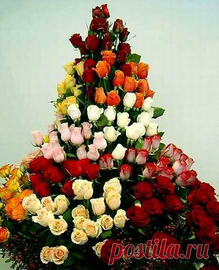 Не жди, что станет легче, проще, лучше. Не станет. Трудности будут всегда. Учись быть счастливым прямо сейчас. Иначе не успеешь.