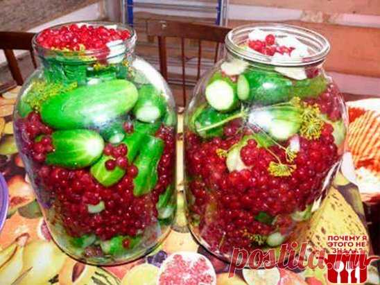 Маринованные огурцы в банке с красной смородиной
Огурцы получаются очень пикантные и хрустящие. И очень вкусна маринованная смородина, такая неожиданная в банке с огурцами. Самое главное, это способ консервирования огурцов без уксуса – его заменит красная смородина. Ингредиенты:
Огурцы — 600 грамм. Чеснок — 2 зубчика. Лук репчатый — 1 штука. Смородина красная — 1,5 стакана. Перец черный горошек — 3 штуки. Гвоздика — 3 штуки. Для рассола:
Вода — 1 литр. Сахар — 1 ст. л. Соль — 2,5 ст. л.
Процесс