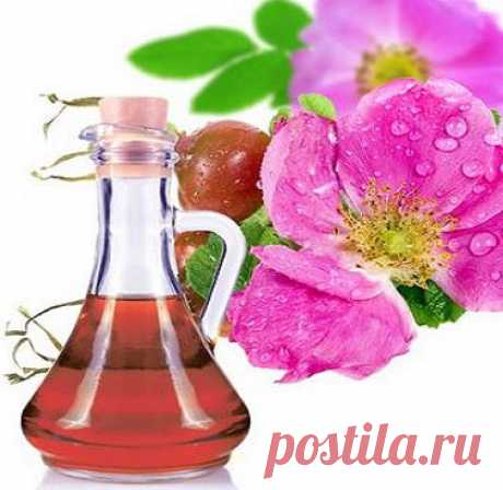 Sobre las propiedades beneficiosas del "sol líquido": milagros de rejuvenecimiento del aceite de rosa mosqueta. Discusión en LiveInternet - Servicio de Diarios en línea de Rusia