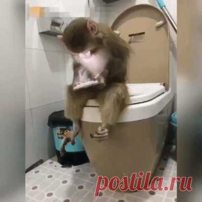 OK.RU