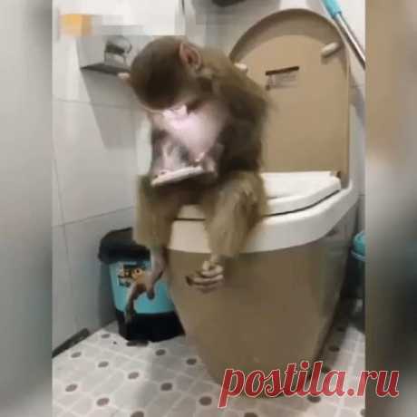 OK.RU