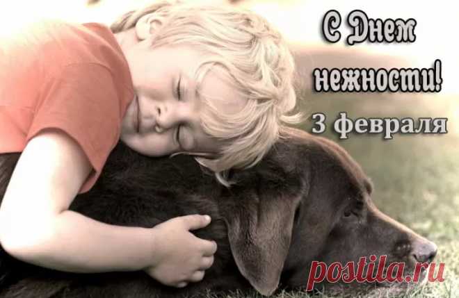 "С Днем нежности" Берегите любимых!