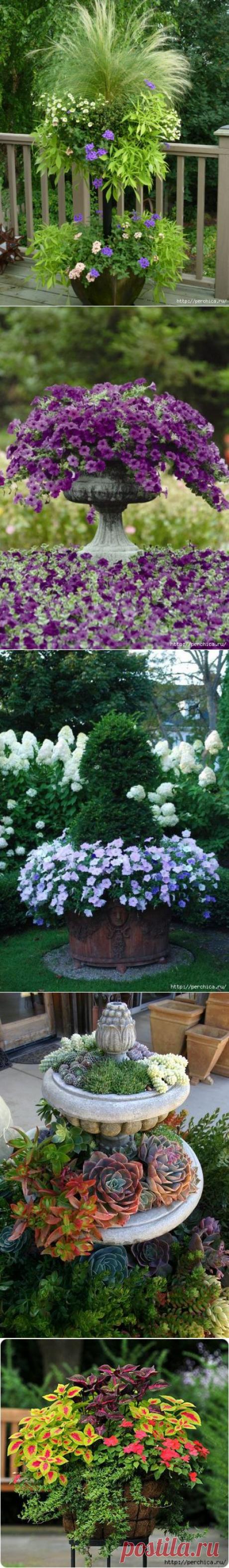 Уличные вазоны - советы по размещению и уходу.