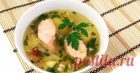 Грибная уха с красной рыбой | Готовим вкусно!