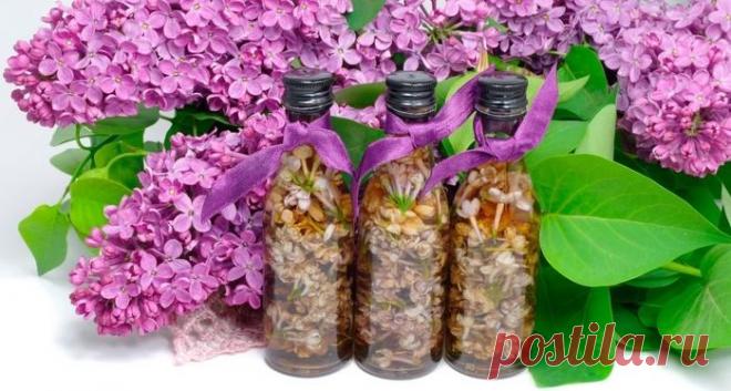Применение спиртовой настойки сирени для лечения различных заболеваний: подробные, самые лучшие рецепты