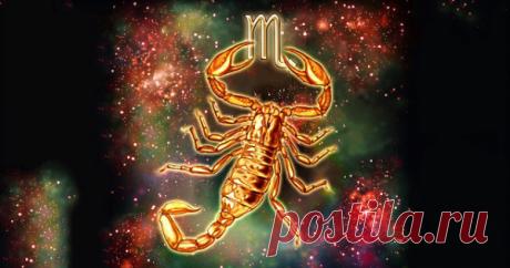 Я люблю тебя просто за то, что ты Дышишь. Какие знаки зодиака любят бескорыстно и преданно