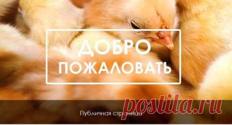 Новости