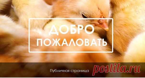 Новости