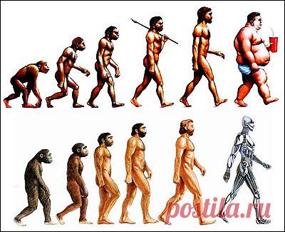 По следам эволюции человека -  konandrakon — я.ру