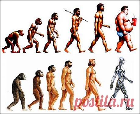 По следам эволюции человека - konandrakon — я.ру