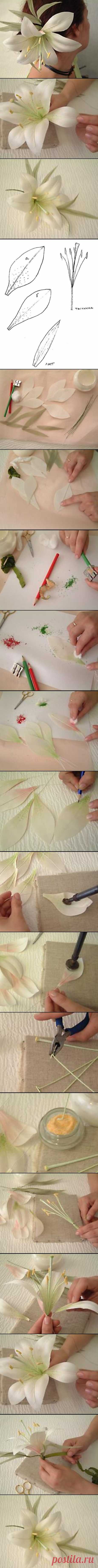 Grouped image by https://pinthemall.net | Fans,flowers,. | Lilies, Paper and Ribbon Flower Tutorial
