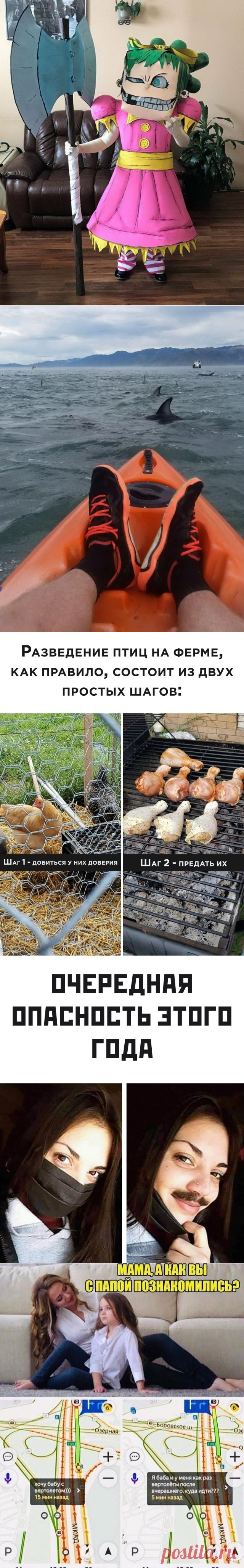 Подборка прикольных картинок и фотографий-256