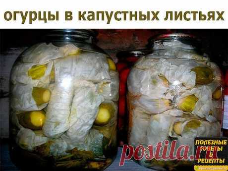 (44) Одноклассники