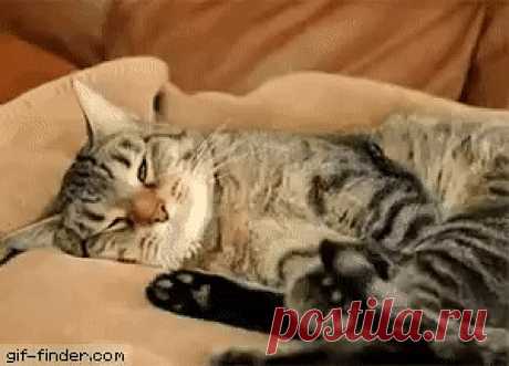 Внуки как неделю уехали, а кошмары снятся до сих пор ...
