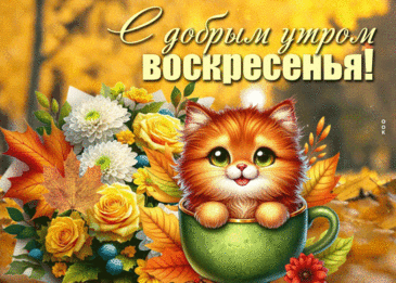 С Добрым воскресным утром! Пусть настроение будет отличным и удастся хорошо отдохнуть! с добрым воскресным утром мерцающие открытки