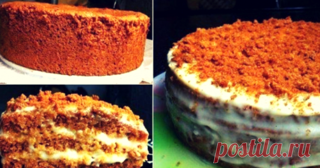 Бисквитный торт «Медовый». Нежный, вкусный и приготовить легко!