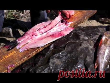 как разделывают щуку в якутии how to cut up a pike
