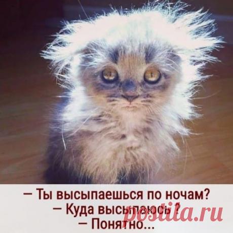 Ольга Попова