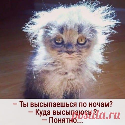 Ольга Попова