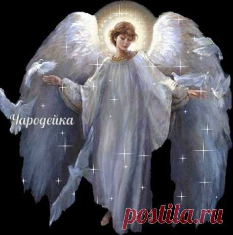 Молитва - оберёг от неприятностей: переписать и носить с собой: " Ангел мой хранитель, от всякого зла избавитель, прочти со мной оберег святой мой. Крылами огради , спаси и сохрани. От лукавых людей, от стрел и ножей. от огня и камней, от воды бурлящей, от змеи гремучей, от воров, верёвок и топоров. Чтоб власти не прогнали, злодеи не догнали, родные не предали, живьём в землю не закопали, от языков. чтоб не проклинали. От звериного истязания,от гневливого наказания. От суд...