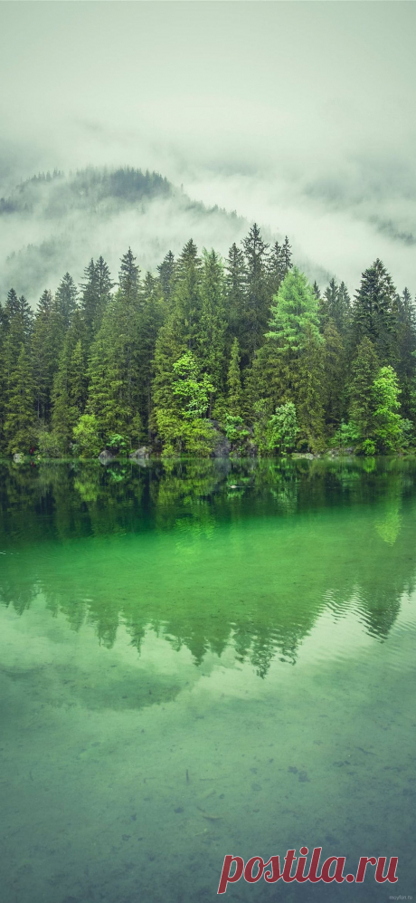 Обои на Сяоми и Редми лес,озеро,холмы,вода,туман.