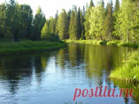 ФОТОМАСТЕРСКАЯ ПРИРОДЫ
Светлана Пыстина (Фомина)