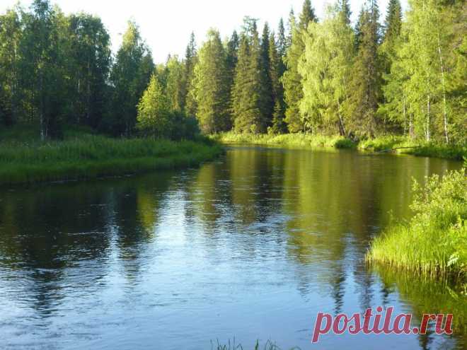 ФОТОМАСТЕРСКАЯ ПРИРОДЫ
Светлана Пыстина (Фомина)