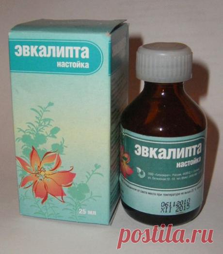 Настойка эвкалипта применение