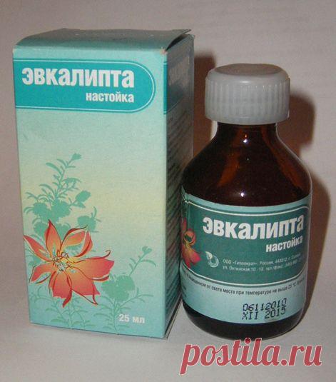 Настойка эвкалипта применение