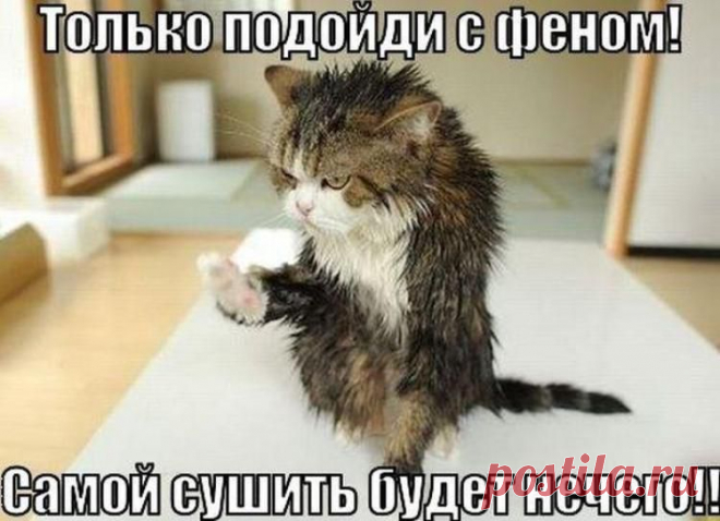 Монстрик