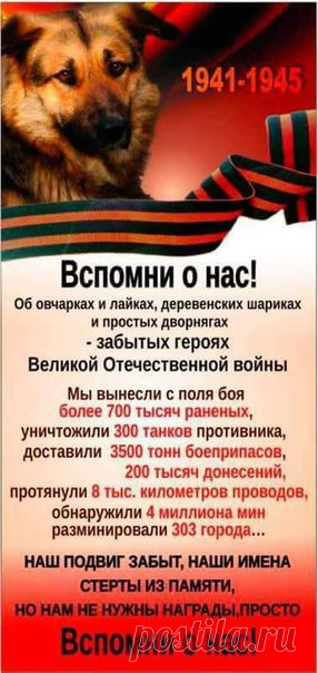 Наталия Лутошкина