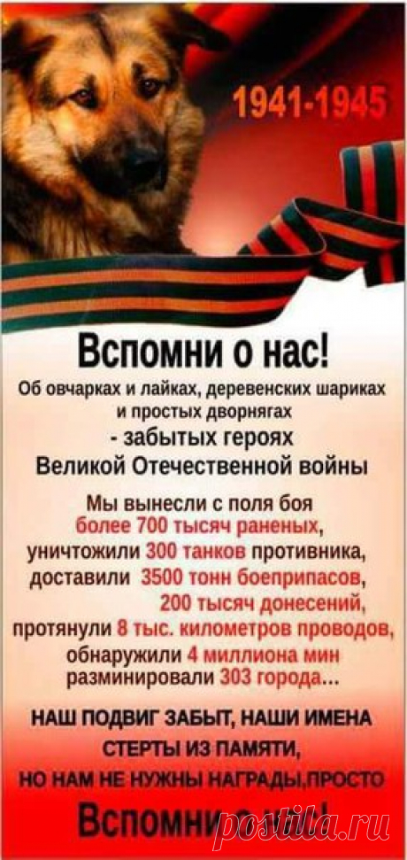 Наталия Лутошкина