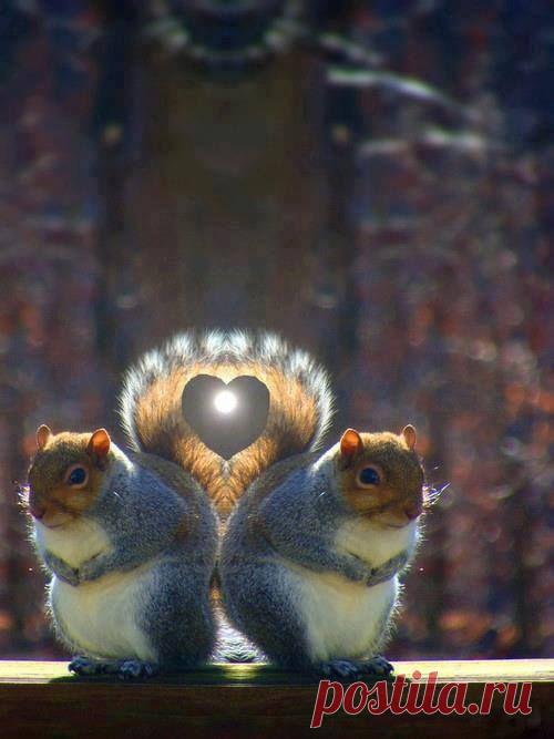 Alita Nikitina - FriendLife